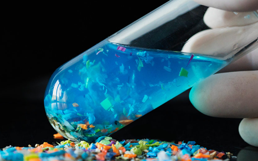 Un filtro hecho con hueso de calamar podría ser la solución a los microplásticos